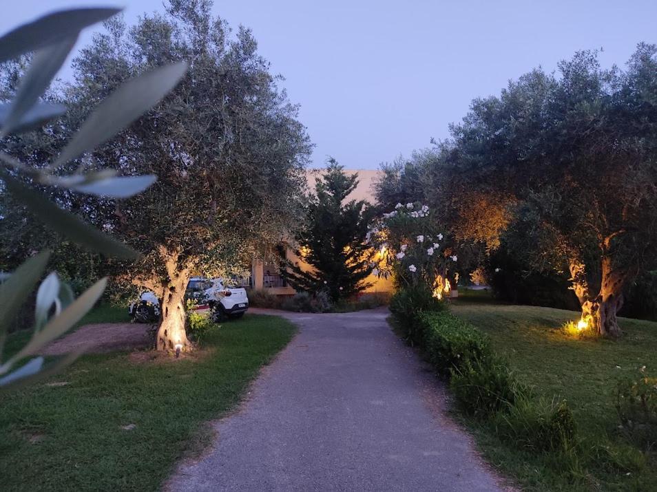 Oliveland Apartments Kavos Exterior photo